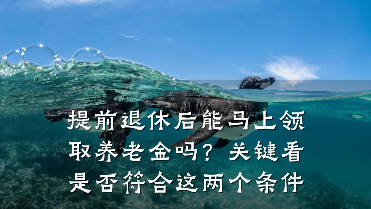 提前退休后能马上领取养老金吗?关键看是否符合这两个条件
