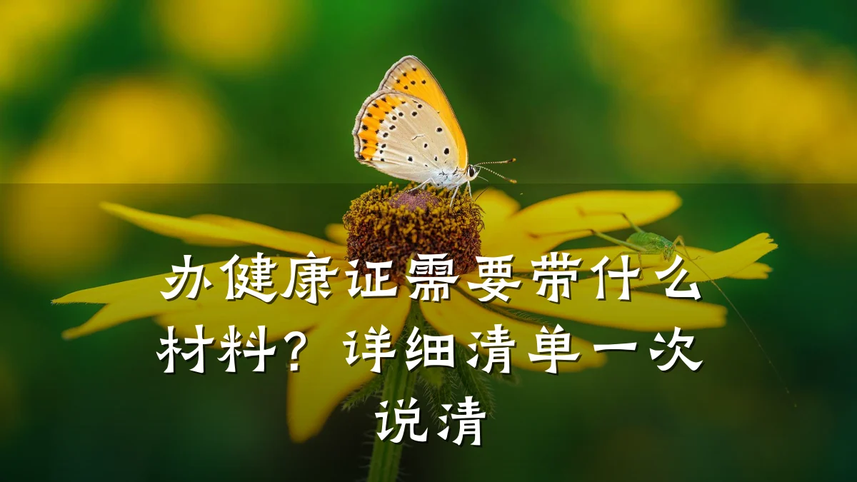 办健康证需要带什么材料?详细清单一次说清
