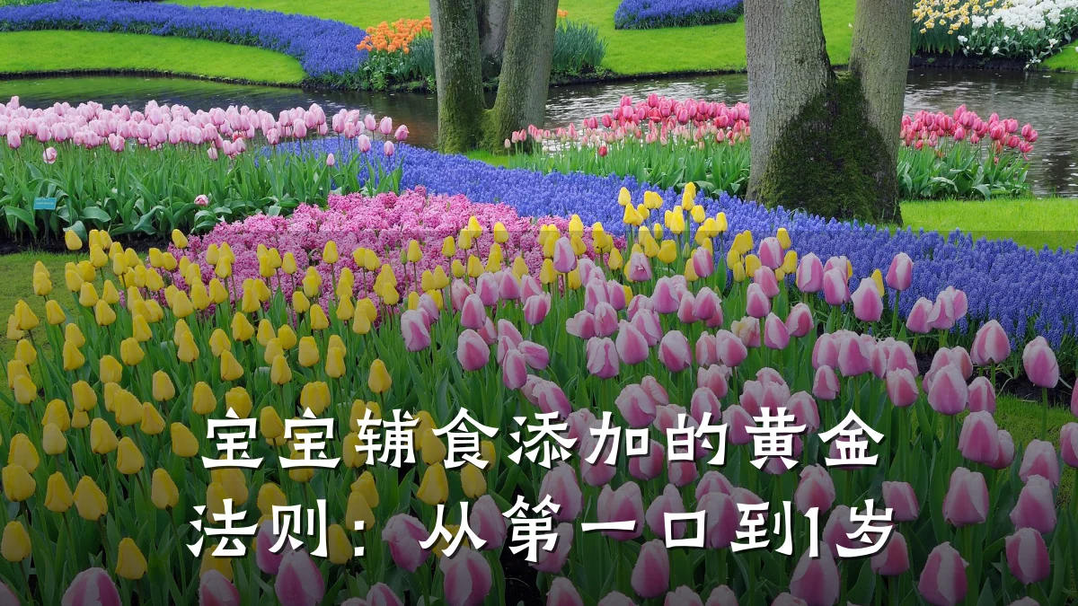 宝宝辅食添加的黄金法则：从第一口到1岁