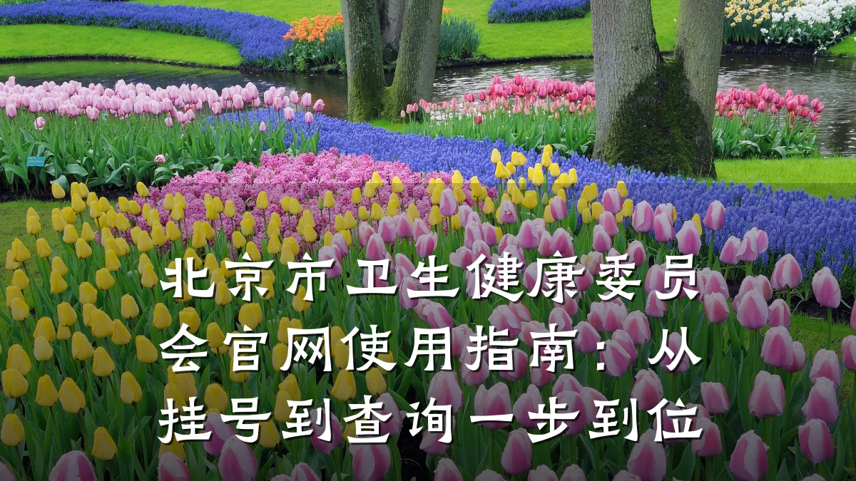 北京市卫生健康委员会官网使用指南：从挂号到查询一步到位