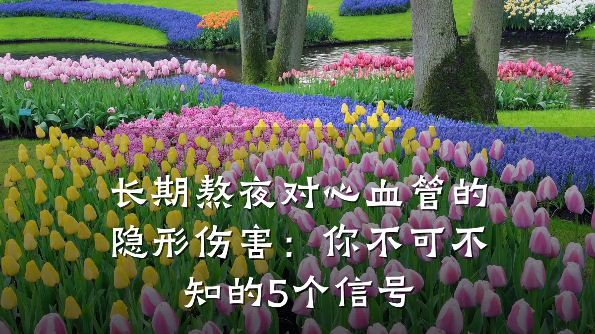 长期熬夜对心血管的隐形伤害:你不可不知的5个信号