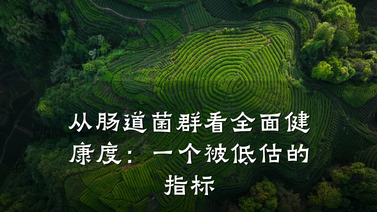 从肠道菌群看全面健康度:一个被低估的指标