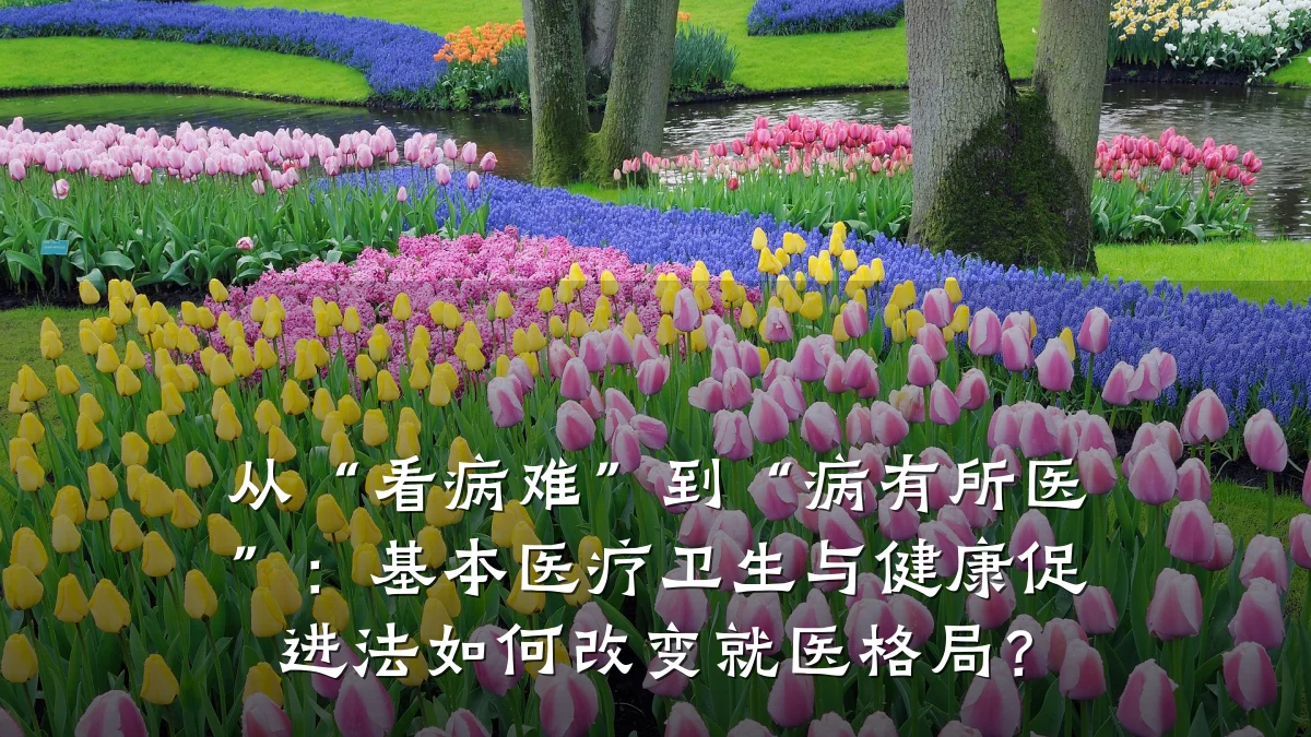 从“看病难”到“病有所医”:基本医疗卫生与健康促进法如何改变就医格局?