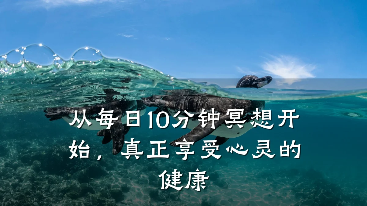 从每日10分钟冥想开始,真正享受心灵的健康