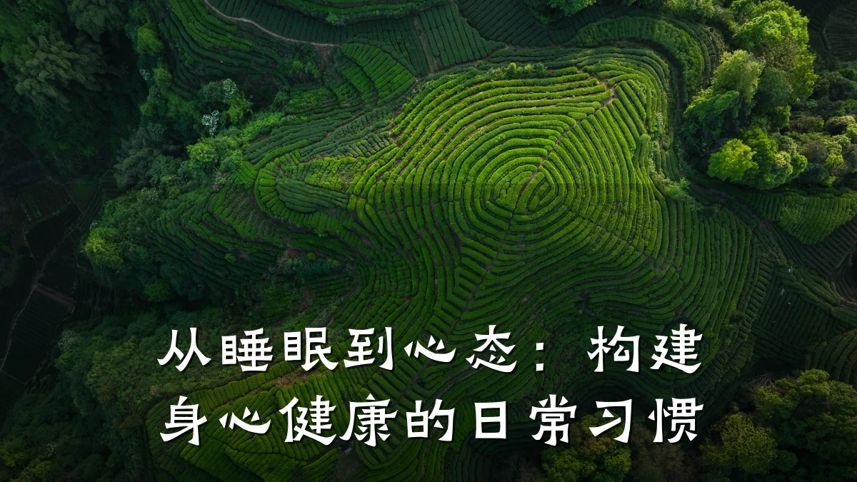 从睡眠到心态:构建身心健康的日常习惯