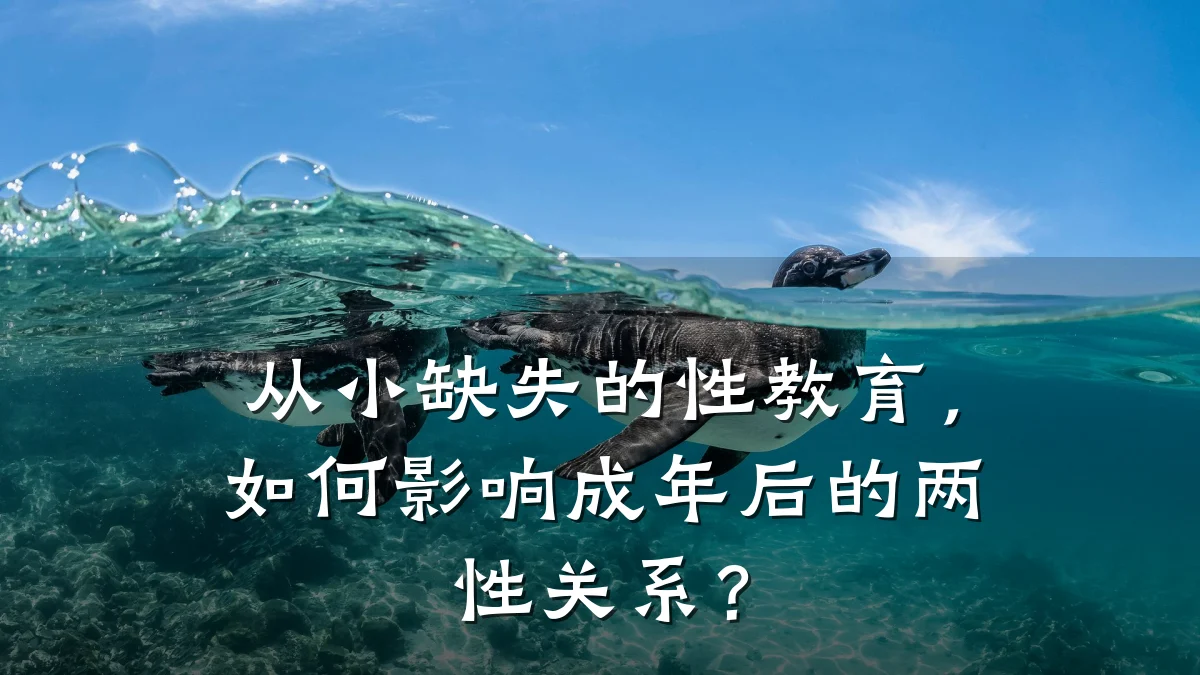 从小缺失的性教育,如何影响成年后的两性关系?