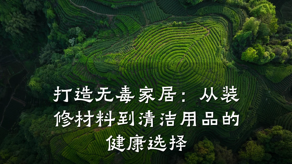 打造无毒家居:从装修材料到清洁用品的健康选择