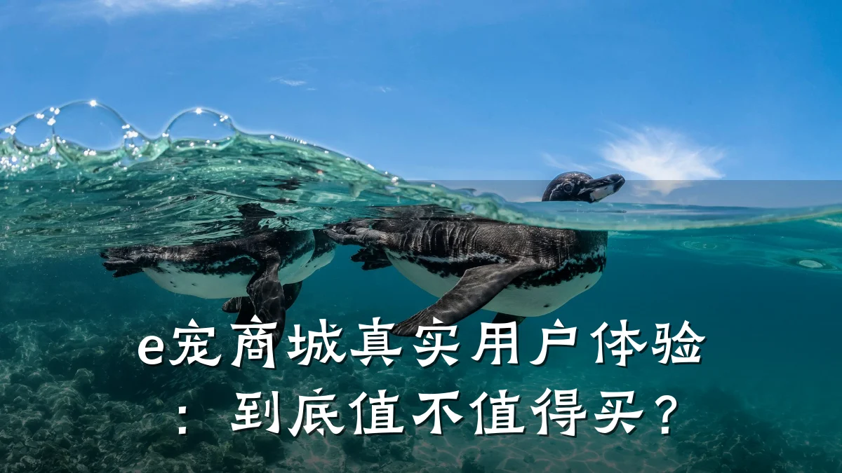 e宠商城真实用户体验:到底值不值得买?
