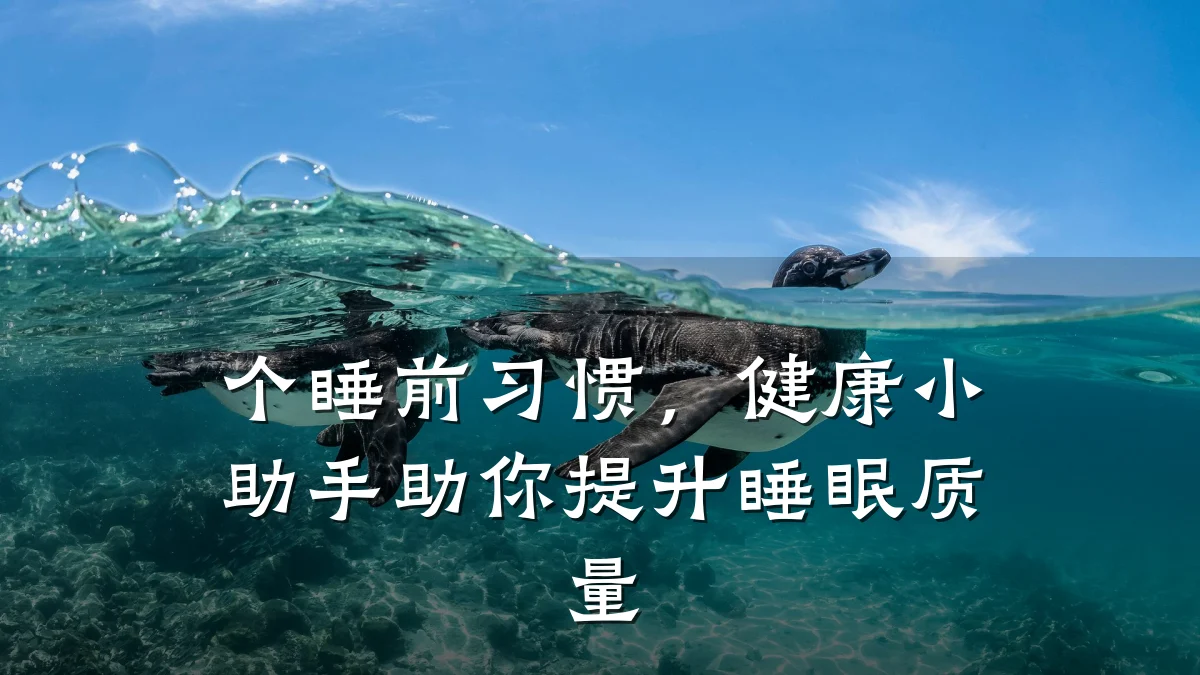 个睡前习惯,健康小助手助你提升睡眠质量