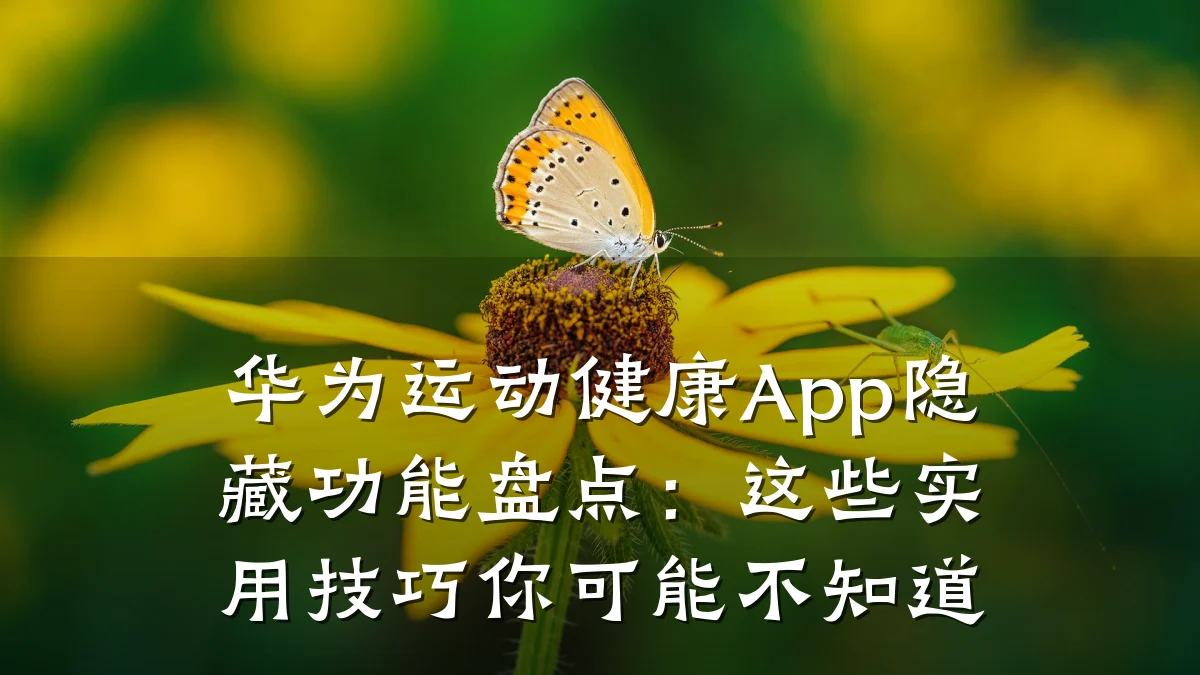 华为运动健康App隐藏功能盘点:这些实用技巧你可能不知道