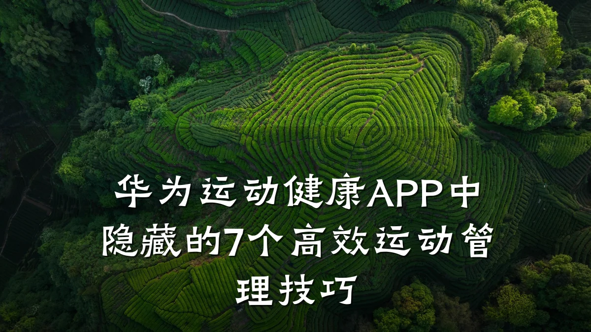华为运动健康APP中隐藏的7个高效运动管理技巧