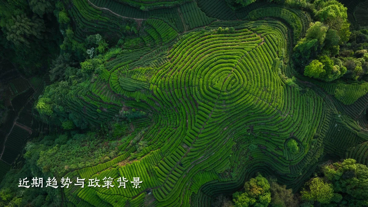 近期趋势与政策背景