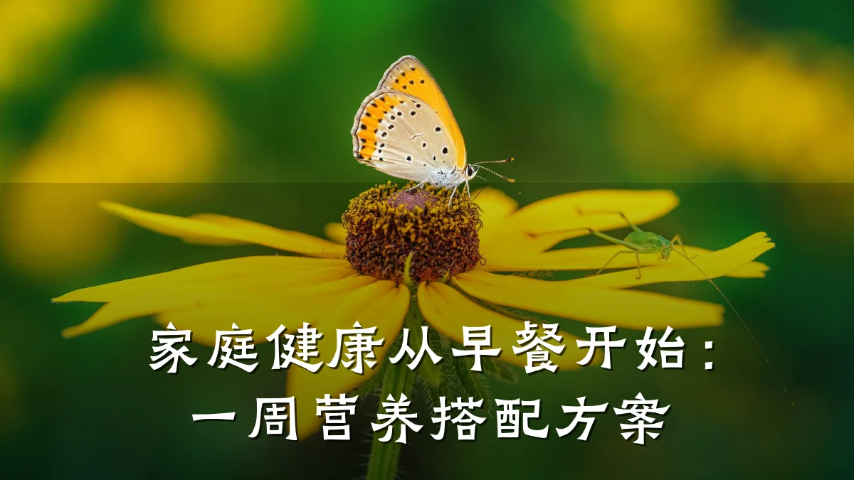家庭健康从早餐开始：一周营养搭配方案