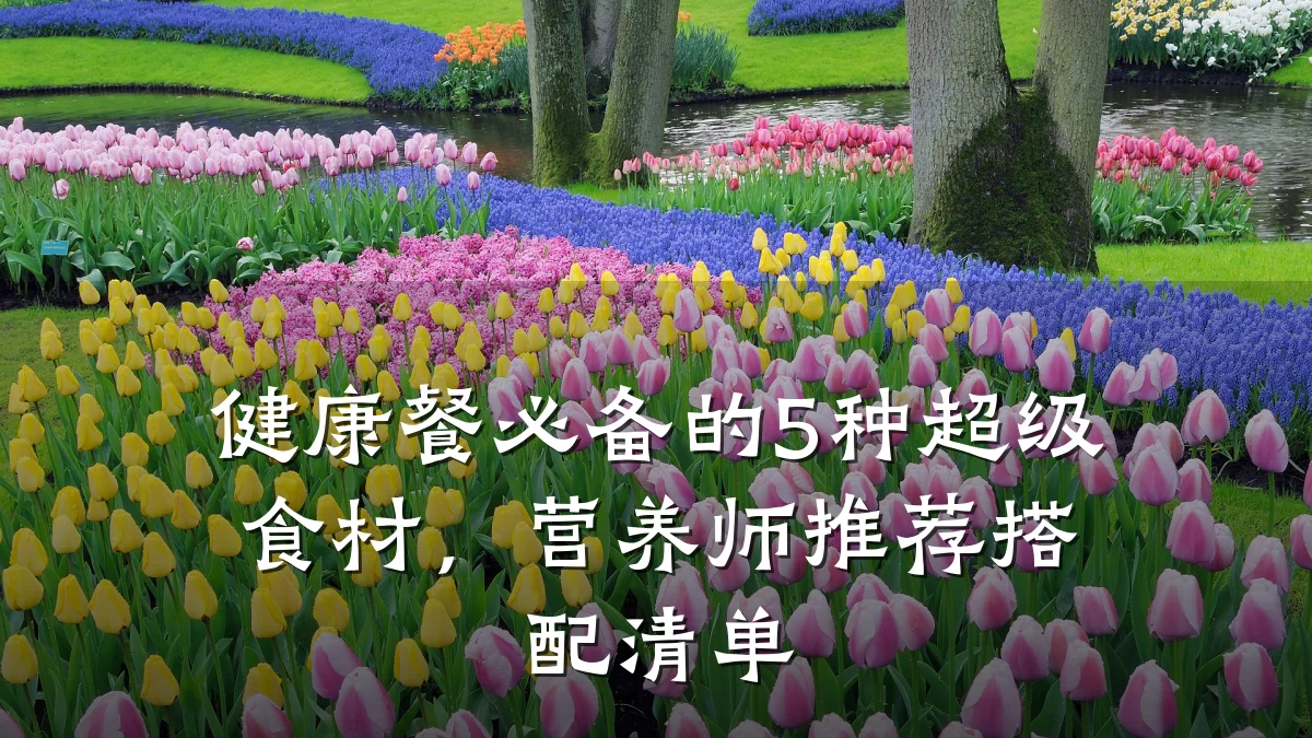 健康餐必备的5种超级食材,营养师推荐搭配清单