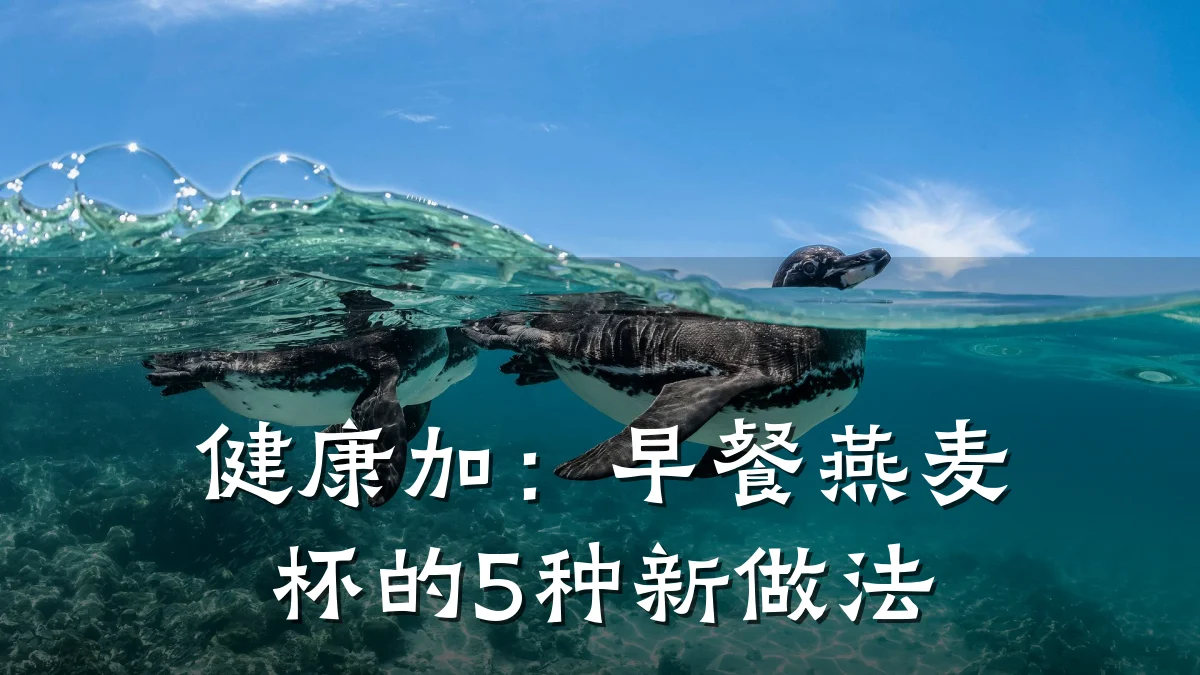 健康加:早餐燕麦杯的5种新做法