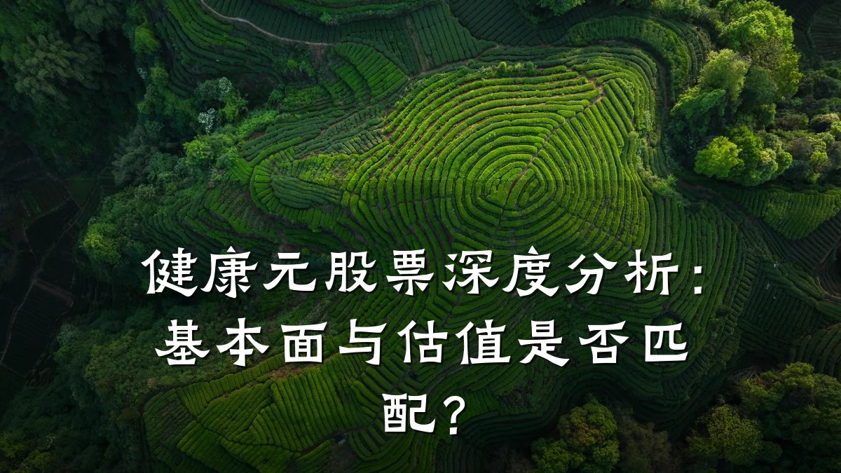 健康元股票深度分析:基本面与估值是否匹配?