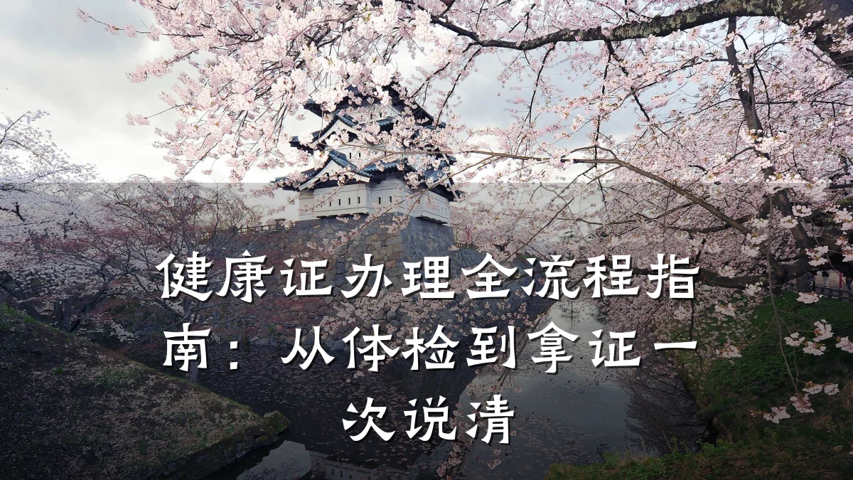 健康证办理全流程指南：从体检到拿证一次说清
