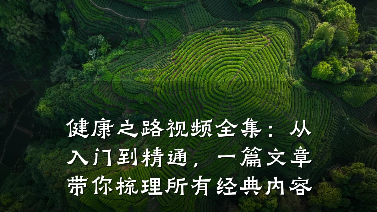 健康之路视频全集:从入门到精通,一篇文章带你梳理所有经典内容