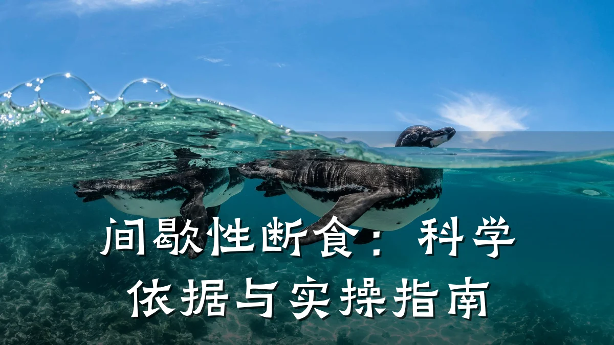 间歇性断食:科学依据与实操指南