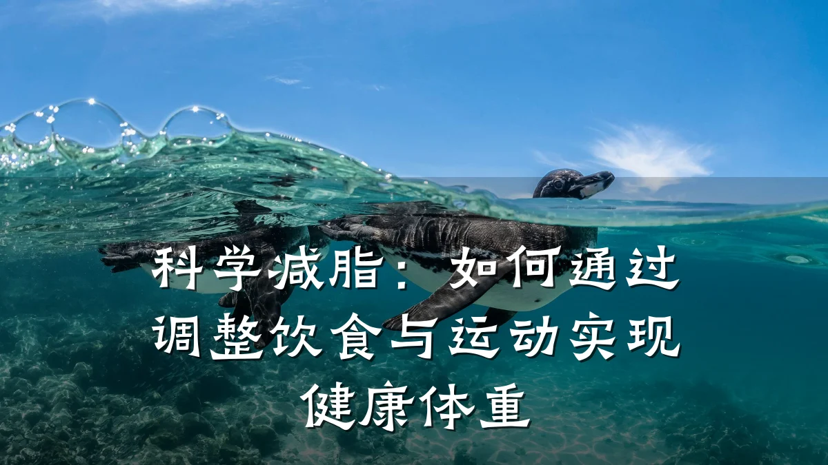 科学减脂:如何通过调整饮食与运动实现健康体重