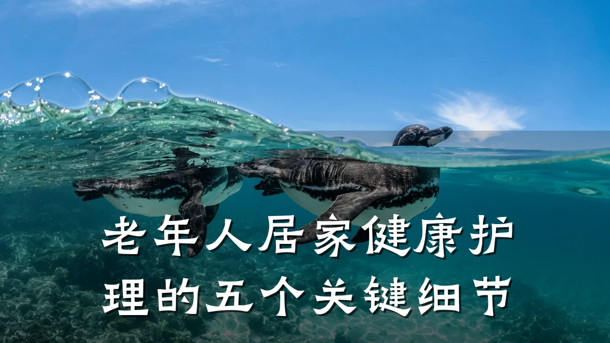 老年人居家健康护理的五个关键细节