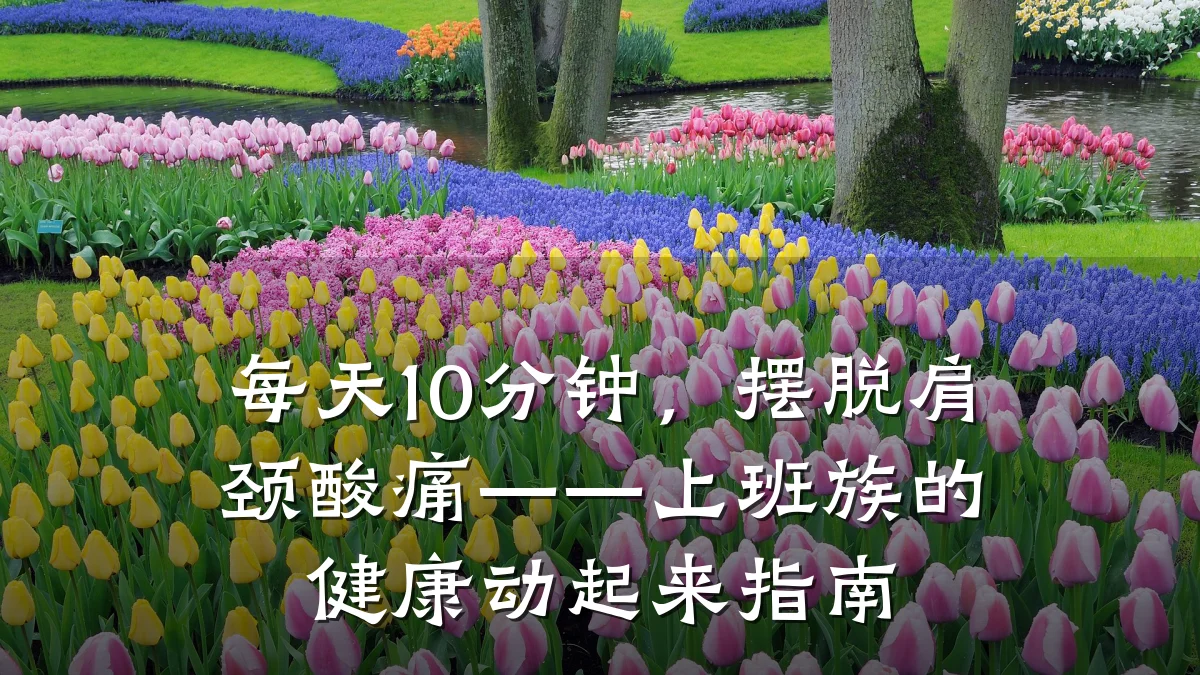每天10分钟,摆脱肩颈酸痛——上班族的健康动起来指南
