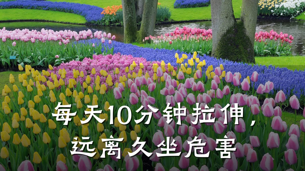 每天10分钟拉伸，远离久坐危害