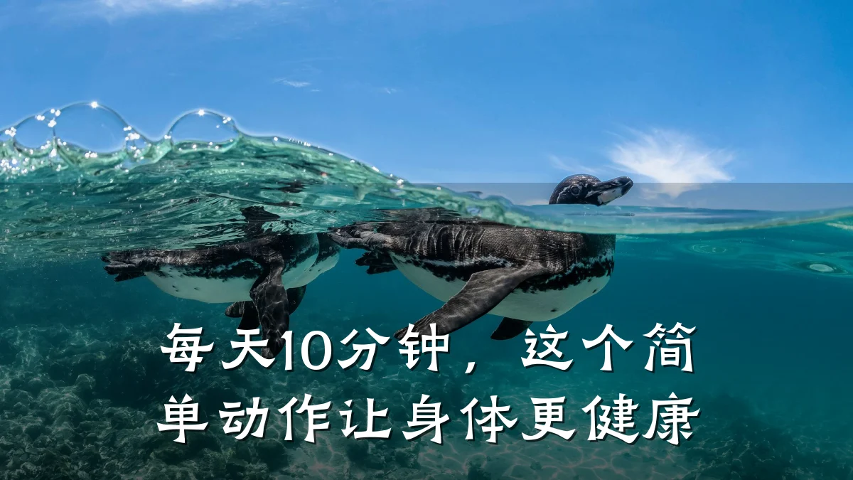 每天10分钟，这个简单动作让身体更健康