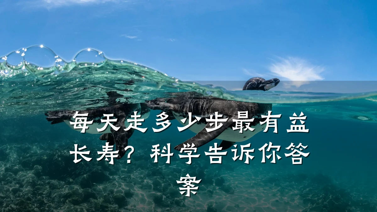 每天走多少步最有益长寿?科学告诉你答案
