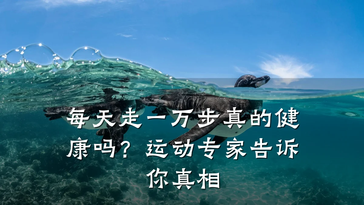 每天走一万步真的健康吗?运动专家告诉你真相