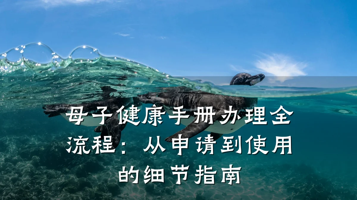 母子健康手册办理全流程:从申请到使用的细节指南