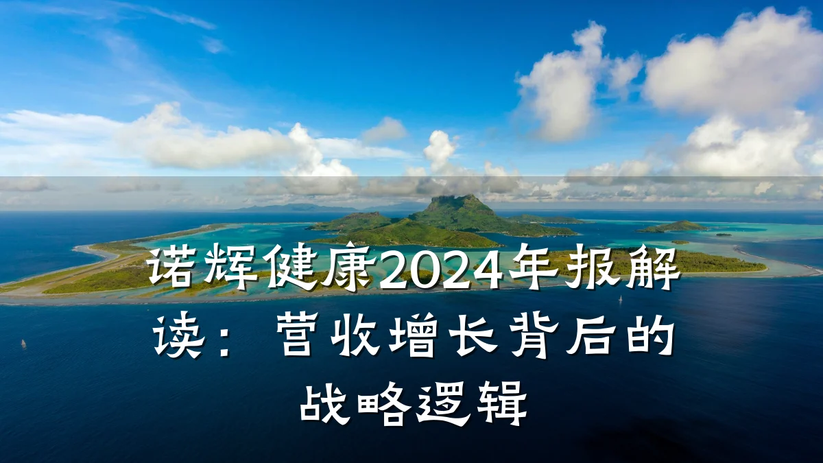 诺辉健康2024年报解读:营收增长背后的战略逻辑