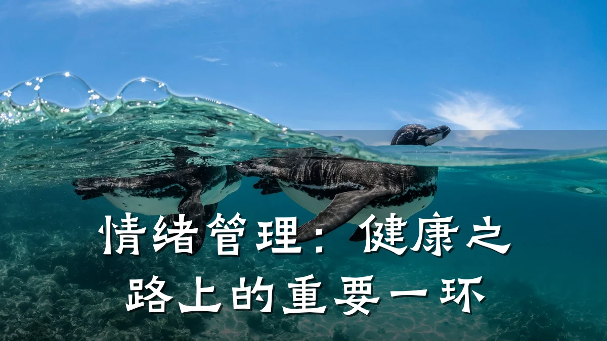 情绪管理:健康之路上的重要一环