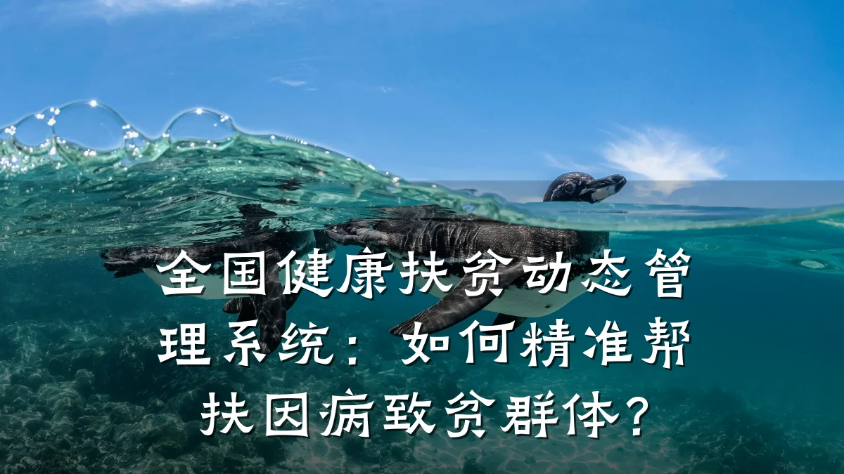 全国健康扶贫动态管理系统:如何精准帮扶因病致贫群体?