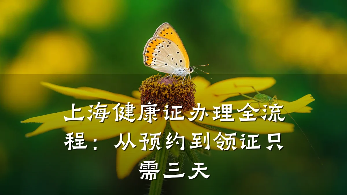 上海健康证办理全流程:从预约到领证只需三天