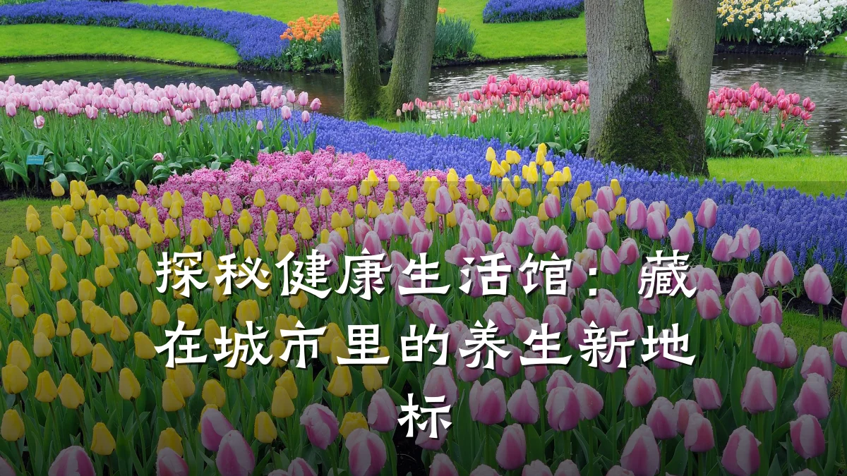 探秘健康生活馆:藏在城市里的养生新地标