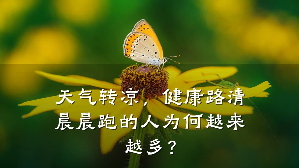 天气转凉,健康路清晨晨跑的人为何越来越多?