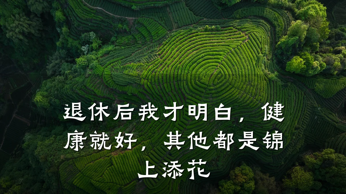 退休后我才明白,健康就好,其他都是锦上添花