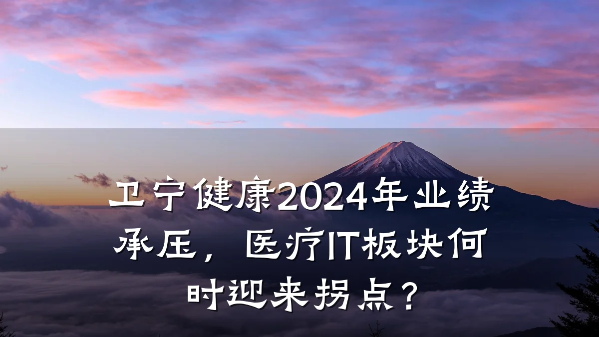 卫宁健康2024年业绩承压,医疗IT板块何时迎来拐点?