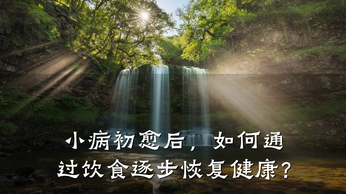 小病初愈后,如何通过饮食逐步恢复健康?