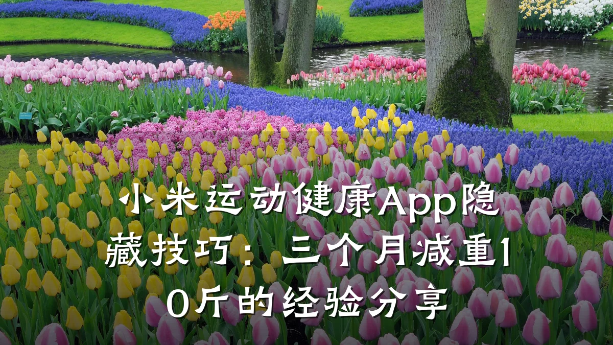 小米运动健康App隐藏技巧:三个月减重10斤的经验分享
