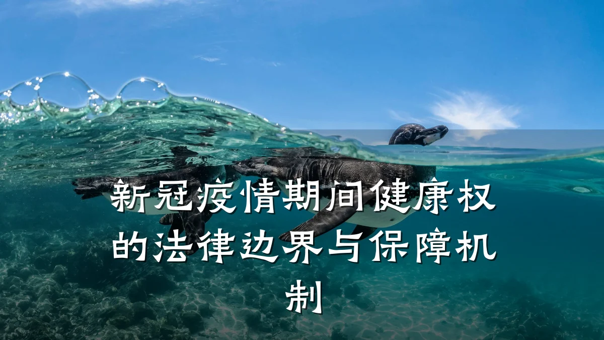 新冠疫情期间健康权的法律边界与保障机制