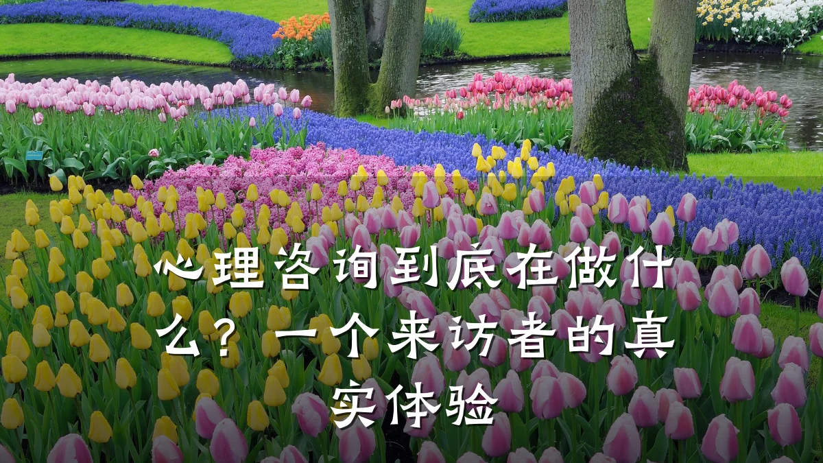 心理咨询到底在做什么?一个来访者的真实体验