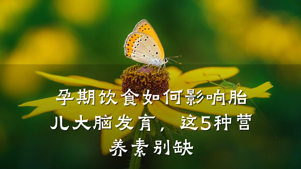 孕期饮食如何影响胎儿大脑发育,这5种营养素别缺