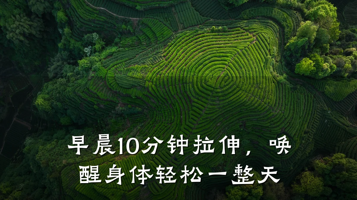早晨10分钟拉伸,唤醒身体轻松一整天