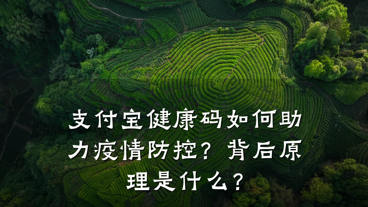 支付宝健康码如何助力疫情防控?背后原理是什么?