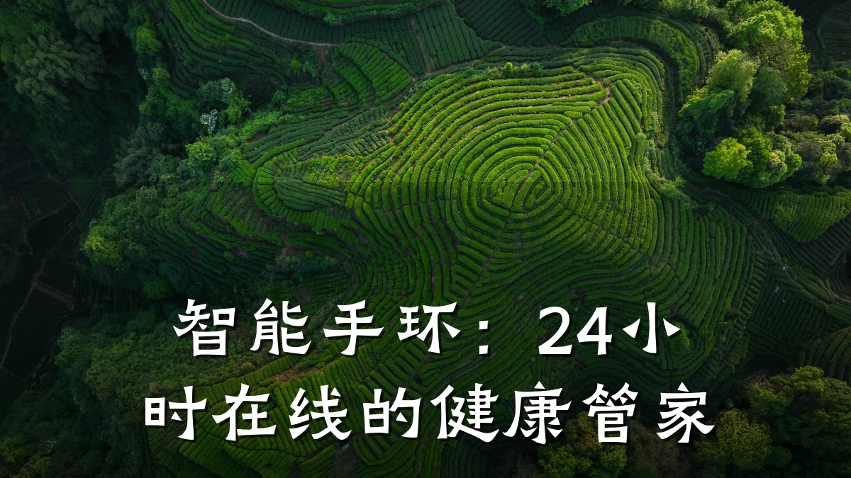 智能手环:24小时在线的健康管家