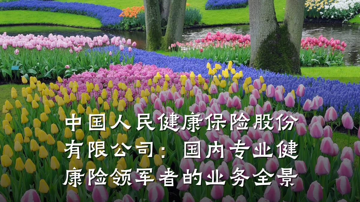 中国人民健康保险股份有限公司:国内专业健康险领军者的业务全景
