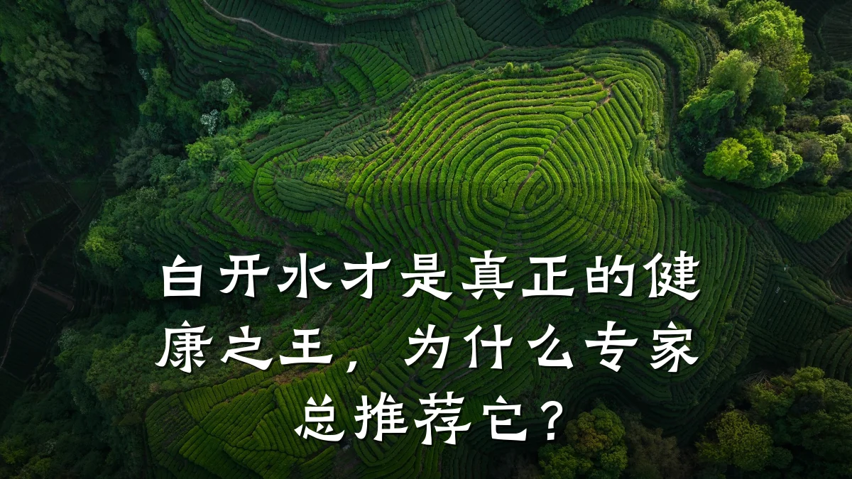 白开水才是真正的健康之王,为什么专家总推荐它?