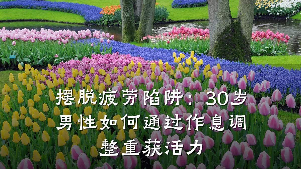 摆脱疲劳陷阱:30岁男性如何通过作息调整重获活力